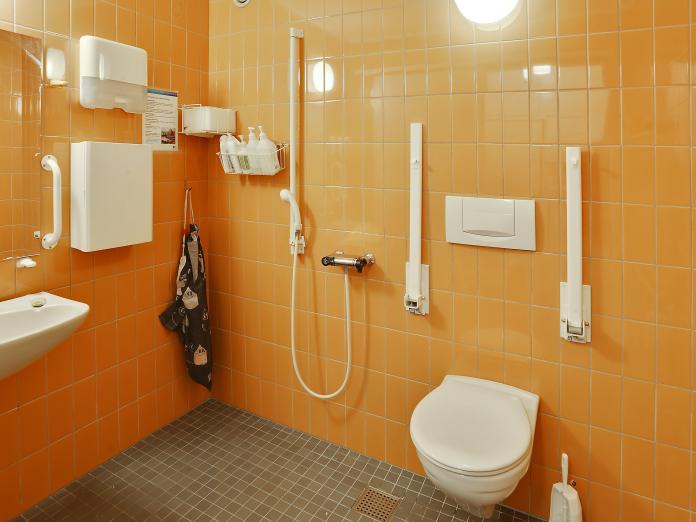 Flisebadeværelse med orange og grå fliser. Badeværelset er indrettet med vask, spejl, toilet med armstøtter og bruser.