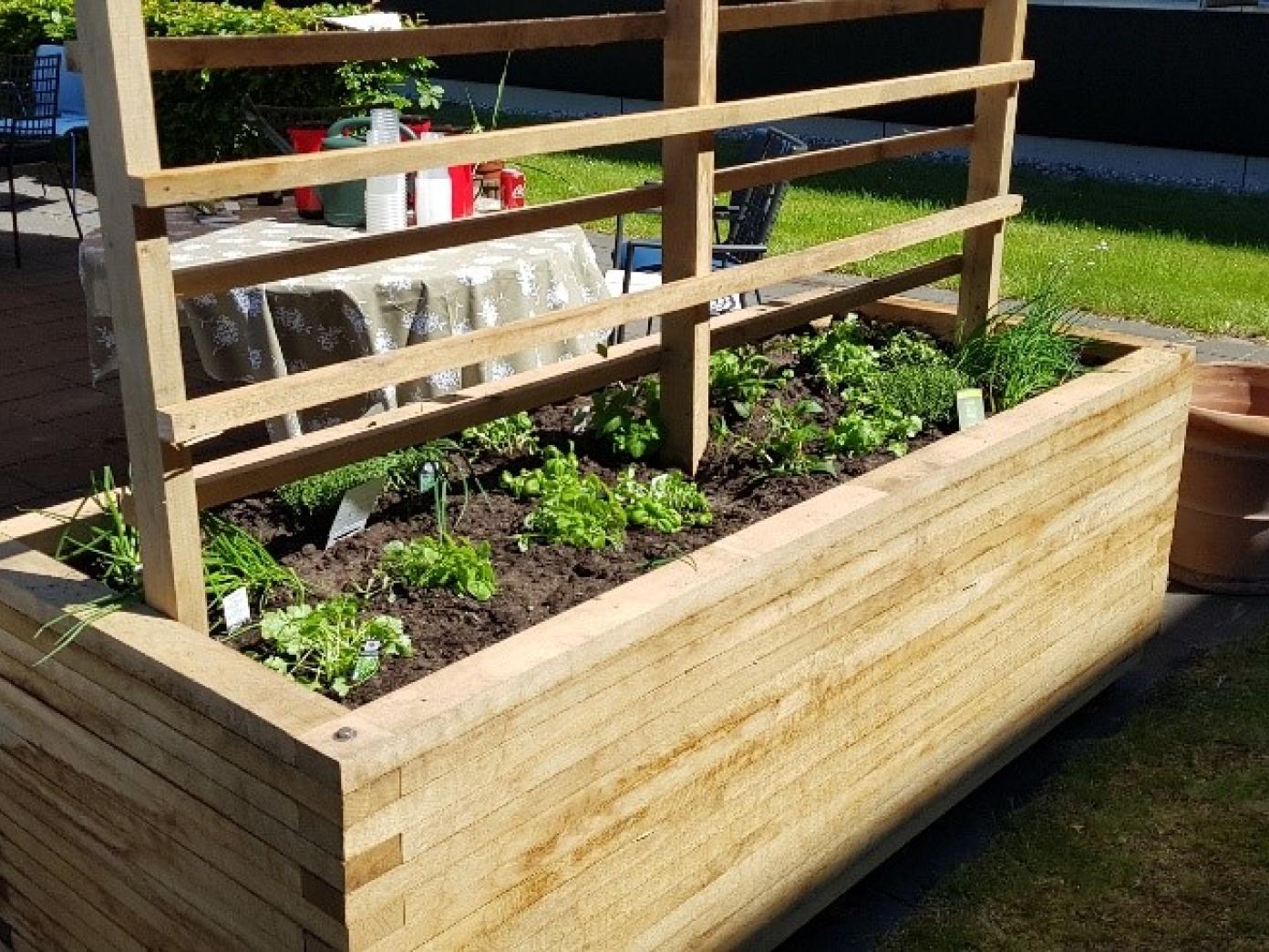 Et højbed med masser af forskellige krydderurter.