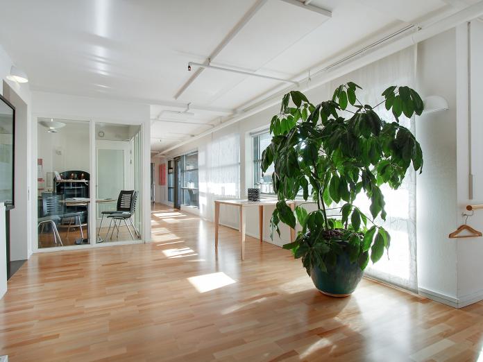 Lyst gangareal med stor, grøn plante i krukke.