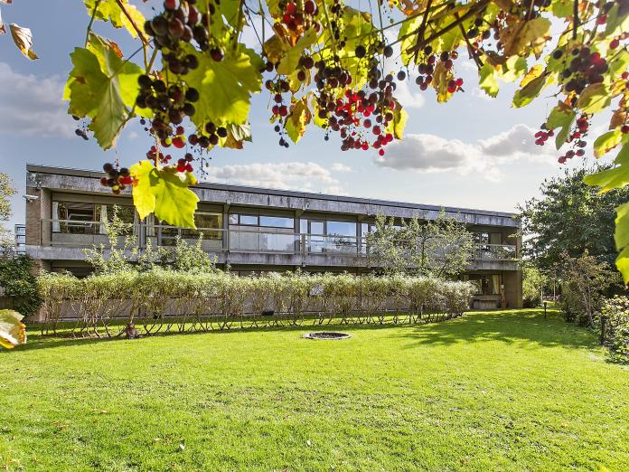 Grøn park med græs, træer og hække foran grå bygning med svalegang.