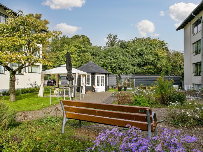 En lille bænk, lilla blomster og kig over til et træ, en pavillon, parasol og det sorte tehus.