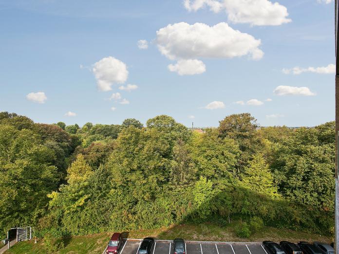 Udsigt fra bygning ud over park med store træer og gangstier samt en parkeringsplads.
