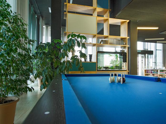 Nærbillede af billardbord, som står i større fælles rum med høj reol, akvarium og store, grønne planter i krukker.