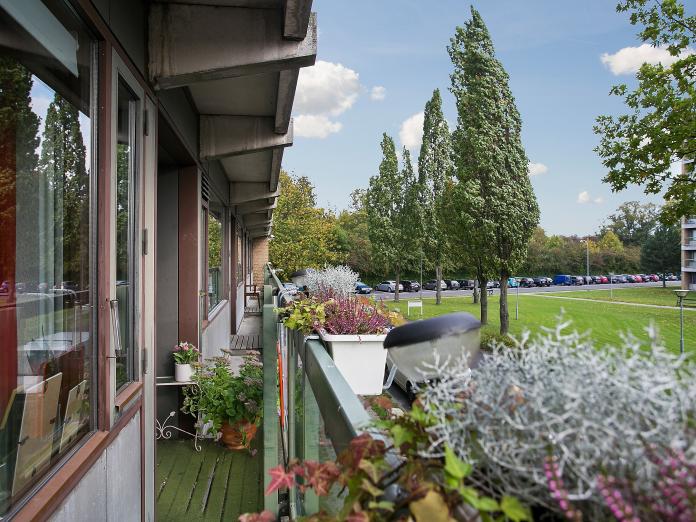 Park med græsplæner, høje træer og bænke set fra en altan med altankasser med blomster.