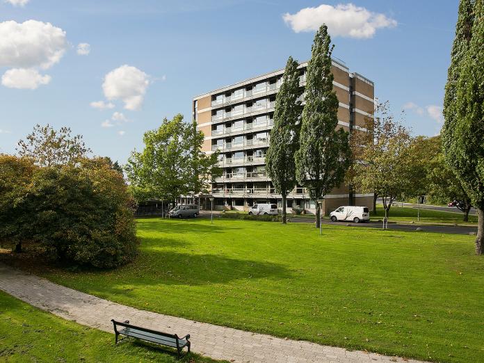 Grøn park med buske, høje træer, gangstier og bænke samt bygning i gule sten i baggrunden.