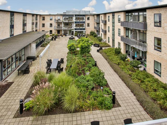 Gårdhave med terrasse, gangstier og bede med græsser, buske og træer samt kurvemøbler og markise.