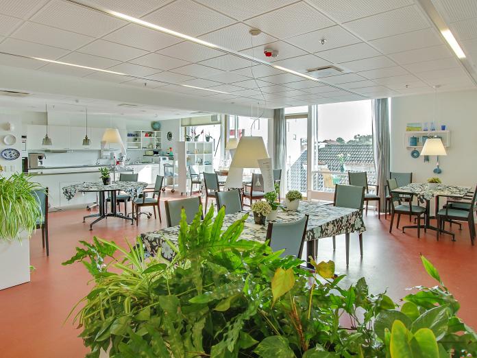 Fællesområde med spiseborde, stole, et køkken i baggrunden og planter i forgrunden.