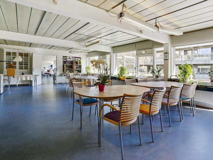 Stort fællesområde med store vinduespartier ud mod gårdhave. Rummet er indrettet med moderne borde og stole samt reoler af ældre dato og grønne planter i vindueskarmene.