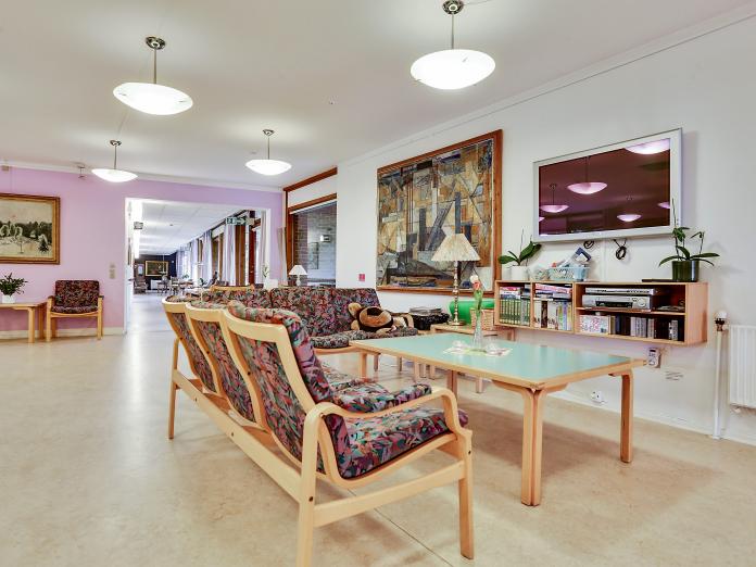 Fælles sofaområde med sofaer, sofabord og fjernsyn samt malerier og grønne planter.