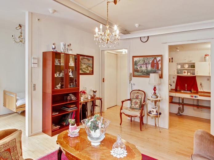 Privat stue med loftslift og hvide vægge. Stuen er indrettet med personlige møbler som sofa, sofabord og reol. Fra stuen er der adgang til et mindre køkken og et soveværelse.