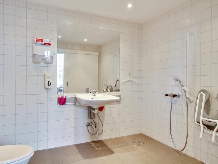 Badeværelse med toilet, vask, stort spejl og bruser.