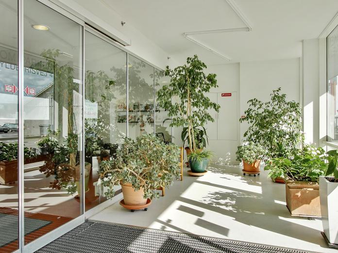 Vindfang med skydelåger og masser af middelhavsplanter. 