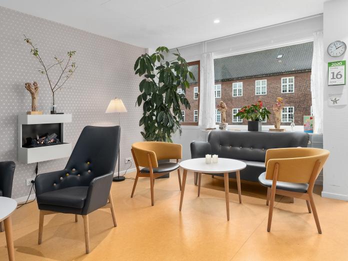 Lys fællesstue med store vinduesparti. Stuen er indrettet med sofa, lænestole og sofaborde samt elektrisk pejs, standerlampe og en stor, grøn plante.