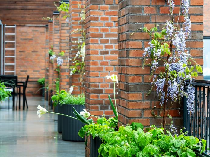 Nærbillede af grønne klatreplanter i krukker og højbede på fælles, overdækket terrasse. 