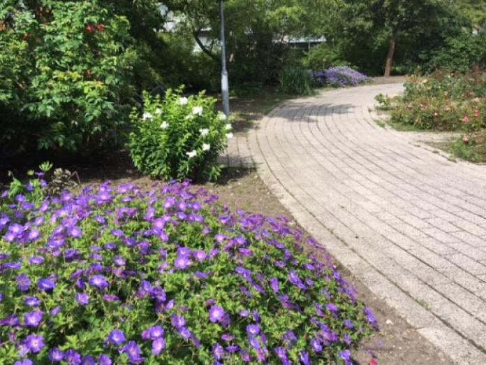 Flisegange langs bede med blomster og buske samt høje træer.