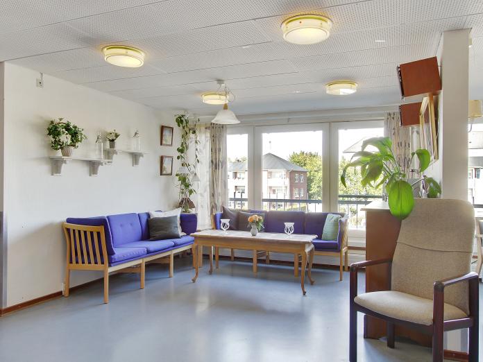 Hyggekrog med stort vinduesparti indrettet med sofaer, sofaborde, lænestol og hylder på væggene med grønne planter.
