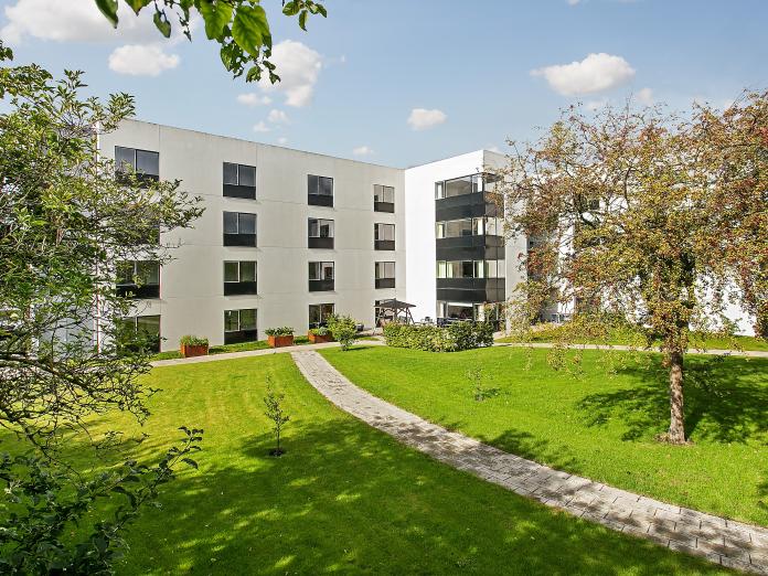 Grønne græsplæner med gangstier, store træer, buske samt højbede med krydderurter og blomster. 