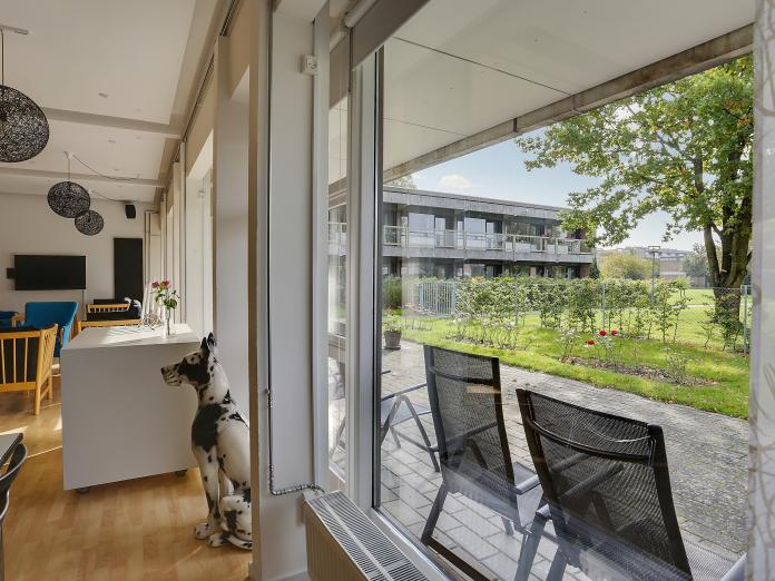 Udsigt fra bygning ud over park med store træer og gangstier samt en parkeringsplads.