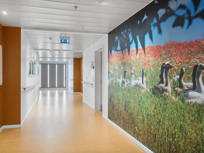 Fælles gangareal med gulv-til-loft-billede af gæs på en blomstereng.