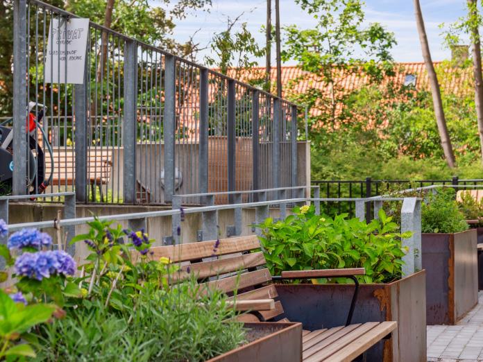 Bænke og i et par rækker bed.